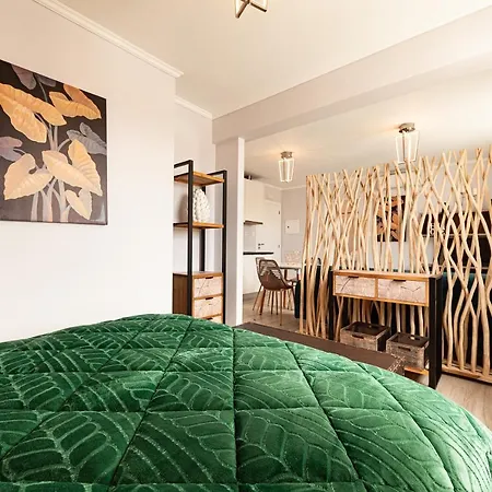 Apartament Pico